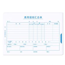 A5费用报销汇总单据
