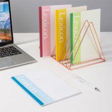 得力 deli12本A5-30张无线胶装软抄本记事本 工作笔记本子文具办公用品 7667