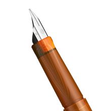 德国施耐德（Schneider）钢笔学生成人练字笔男女三年级办公专用签字笔进口墨水笔EF尖BK406