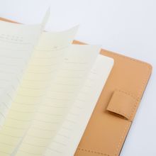 广博(GuangBo)A5无扣活页笔记本子 皮面记事本 博雅 100张  GBP8606