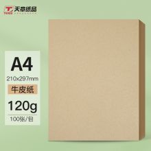 天章(TANGO)A4牛皮纸120g 牛皮纸封面牛皮打印纸 凭证封面纸 牛皮卡纸绘图绘画纸 100张/包