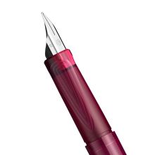 德国施耐德（Schneider）钢笔学生成人练字笔男女三年级办公专用签字笔进口墨水笔EF尖BK406